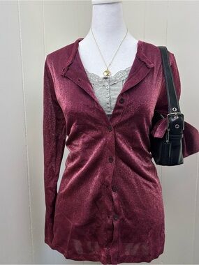 Women's Shimmery Wine Button-Down Blouse